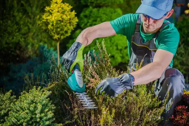 landscaping services Carey